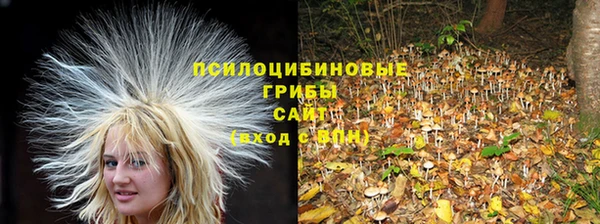твердый Кулебаки