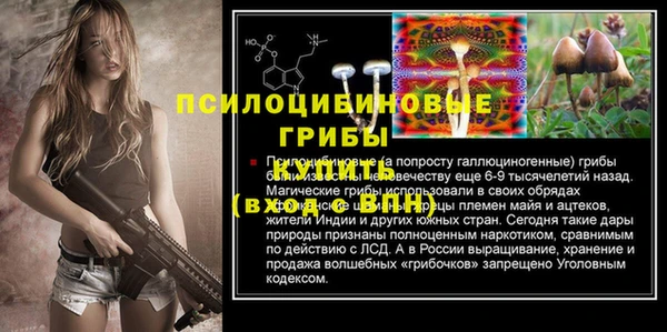ешки Краснотурьинск