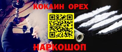 МДПВ Кингисепп