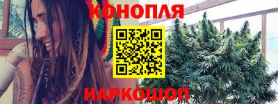 МДПВ Кингисепп