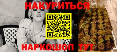 МДПВ Кингисепп