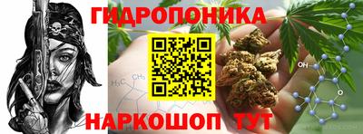 мяу мяу мука Кинель