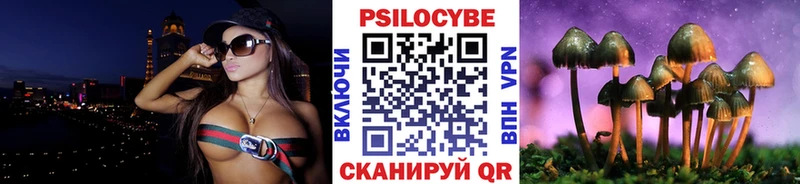 Псилоцибиновые грибы Cubensis  Рыбинск 