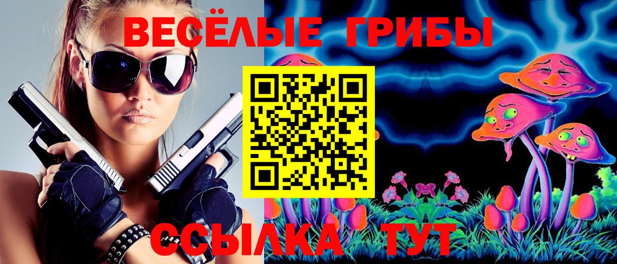 Псилоцибиновые грибы Psilocybine cubensis  Псилоцибиновые грибы ЛСД  Рыбинск 