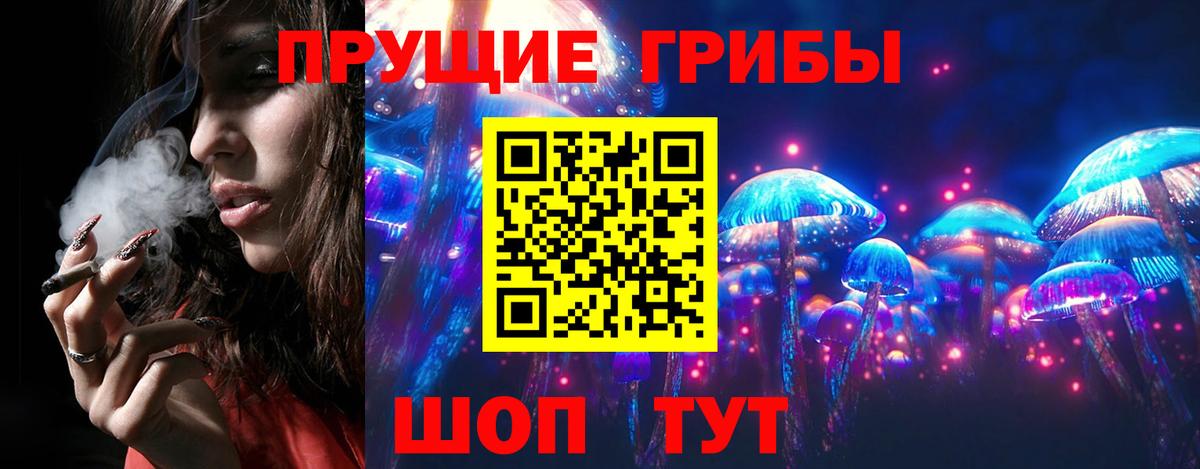 Галлюциногенные грибы Psilocybine cubensis Рыбинск