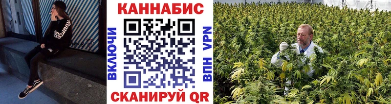 Конопля THC 21% магазин Рыбинск